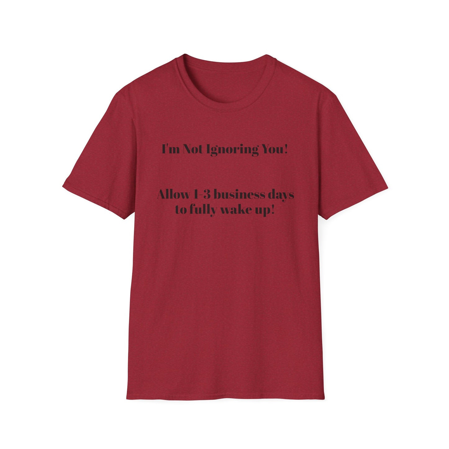 "I'm Not Ignoring You" Tee